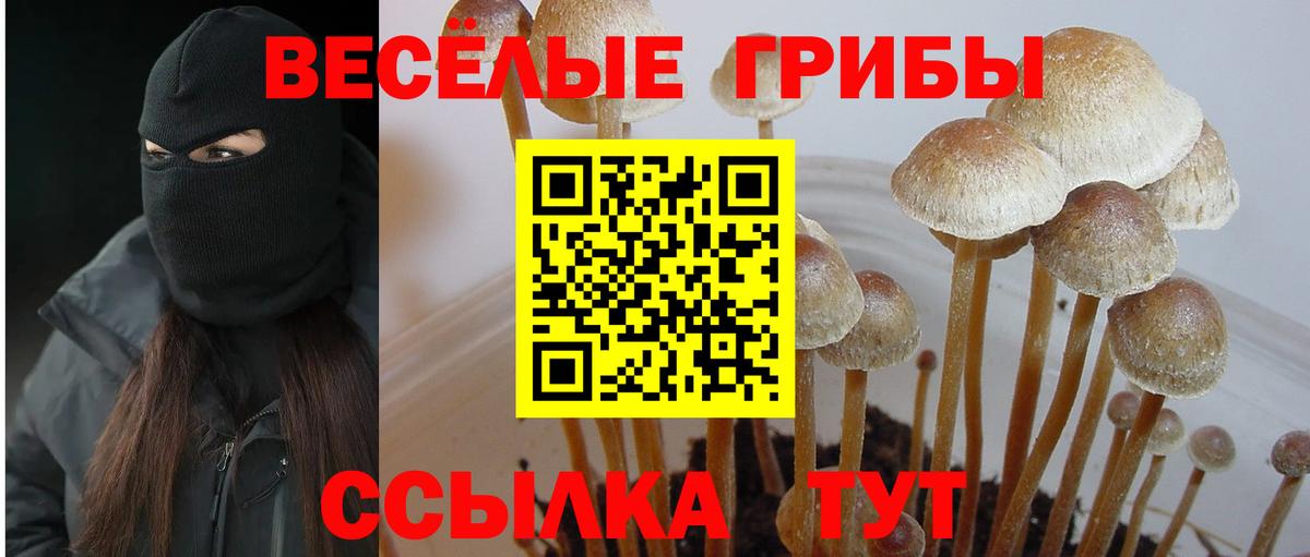 Псилоцибиновые грибы GOLDEN TEACHER Надым